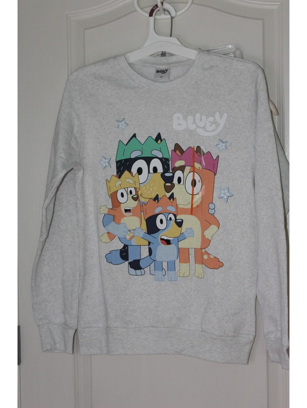 Bluey character sweatshirt 0160